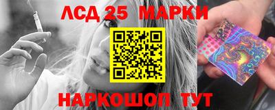 шишки Берёзовский