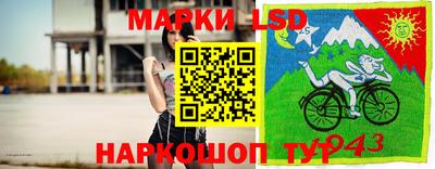 шишки Берёзовский