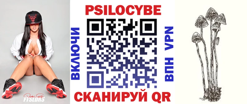 MEGA маркетплейс  Курчатов  Галлюциногенные грибы Cubensis 