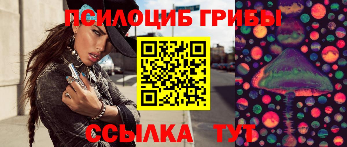 Курчатов  Псилоцибиновые грибы Cubensis  Вход с VPN 