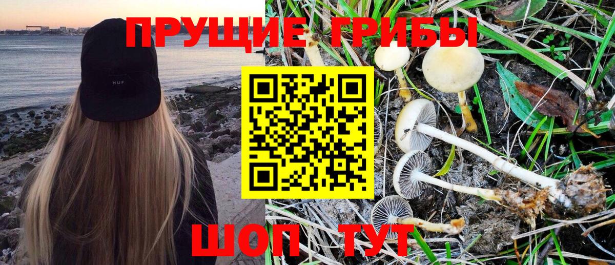 Галлюциногенные грибы прущие грибы  купить  сайты  Курчатов 